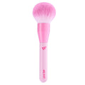 Brocha PinkUp | PK31 Powder